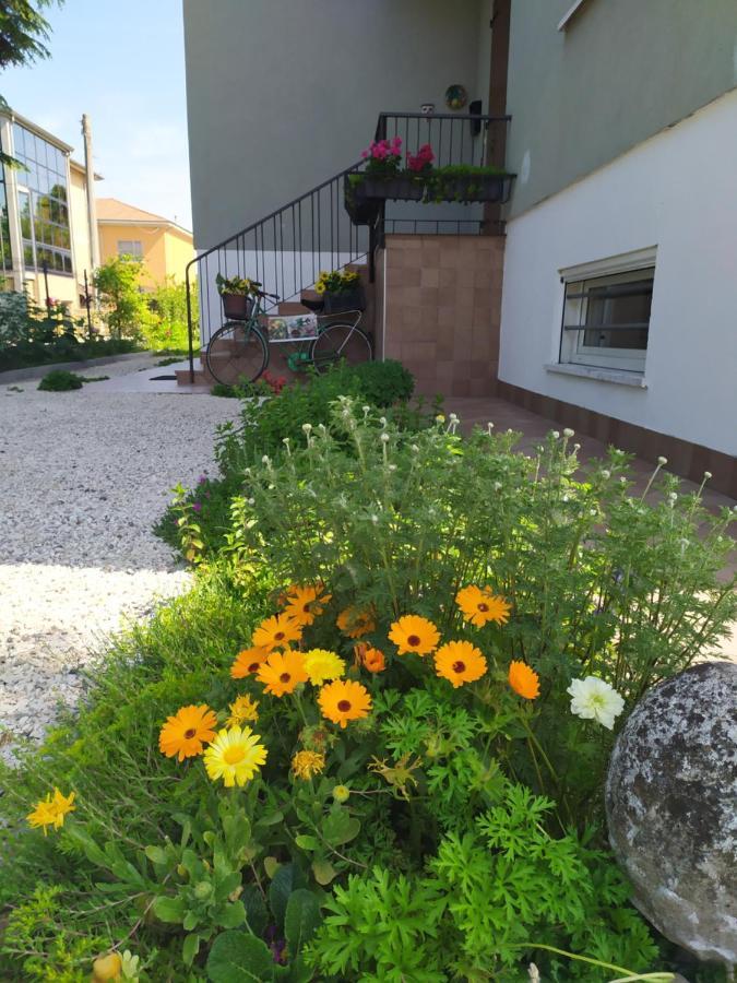 Casa Vacanze I Giardini Di Marzo San Giorgio di Mantua Exterior foto